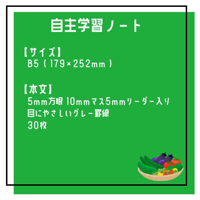 新日本カレンダー 【 自主学習 】【 B5判 】【 5mm方眼 中心リーダー入