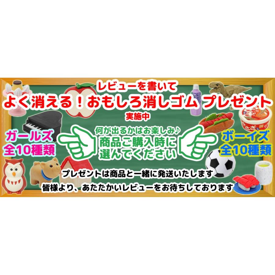 ☆今だけ！おまけ雑巾プレゼント☆書道セット(お習字セット) シャイニープリンセス 小学生の授業用道具入バッグ｜schooltown｜07