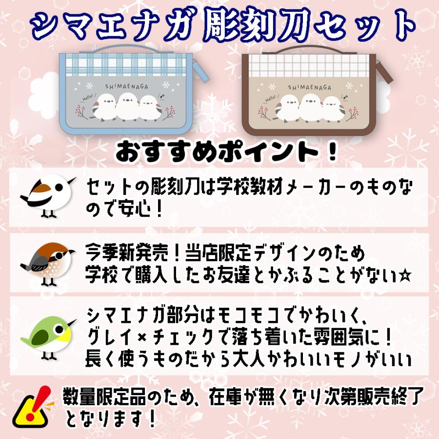 可愛いおまけ付♪】スクールTownオリジナル 彫刻刀セット シマエナガ