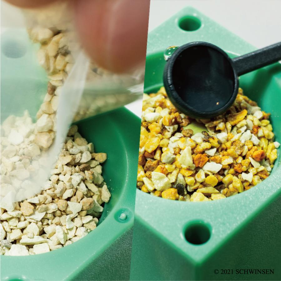 公式 GREENTOY 栽培キット グリーントイ おつまみ枝豆 オフィシャルショップ 枝豆 ペットボトル 栽培 水耕栽培 室内 園芸 野菜 ...