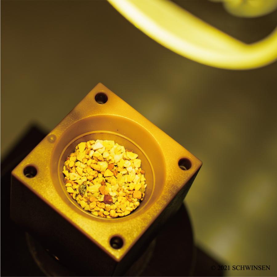 公式 GREENTOY 栽培キット グリーントイ スイートバジル オフィシャル