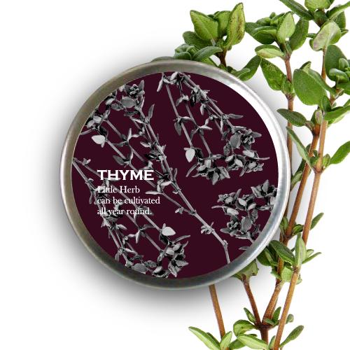 Little Herb リトルハーブ ちいさなハーブの栽培キット タイム 室内 園芸 簡単 おしゃれ ハーブ 栽培キット Lhsc003 室内園芸専門店schwinsen Yahoo 店 通販 Yahoo ショッピング