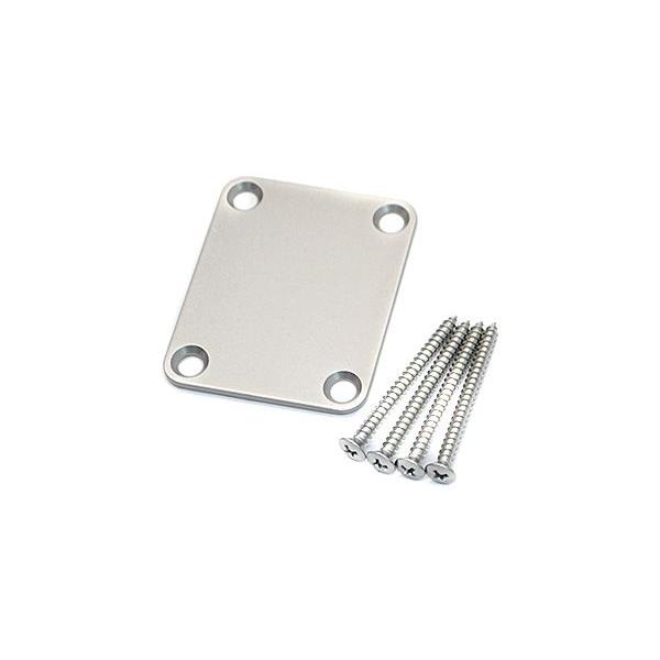 tatsuta Titanium Parts（タツタ） ネックプレート Titanium Neck Plate QSH229760