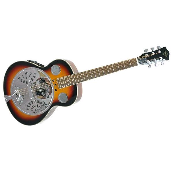 PLAYTECH RG10 エレクトリックリゾネーターギター ソフトケース付き