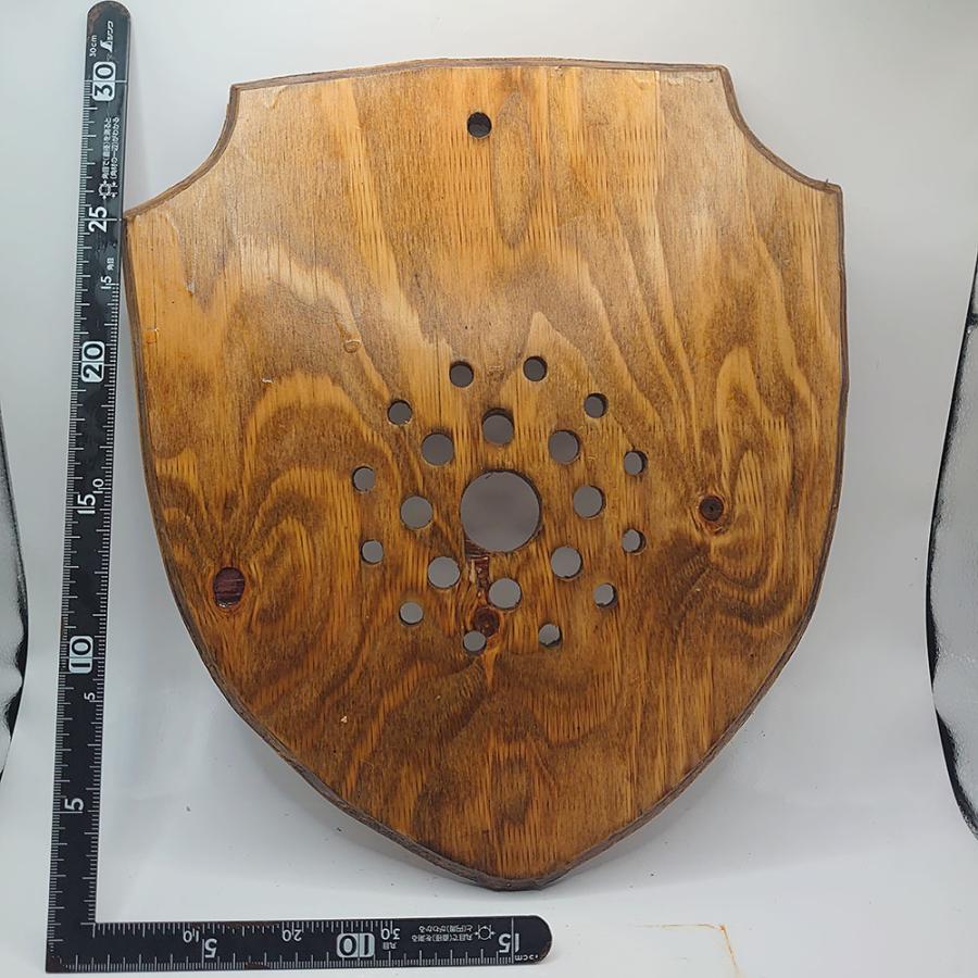 ビカクシダ着生板08 一点物 オリジナル板 : サイエンスファーム - 通販