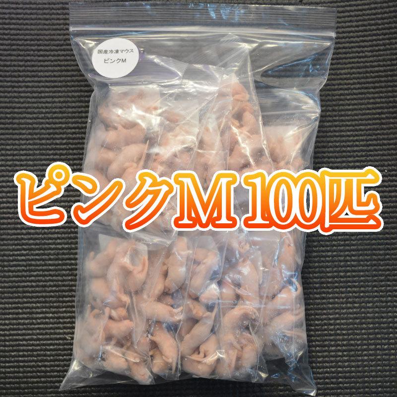 国産冷凍マウス ピンクM 【名入れ無料】 100匹 冷凍エサ ScienceFarm 宅送