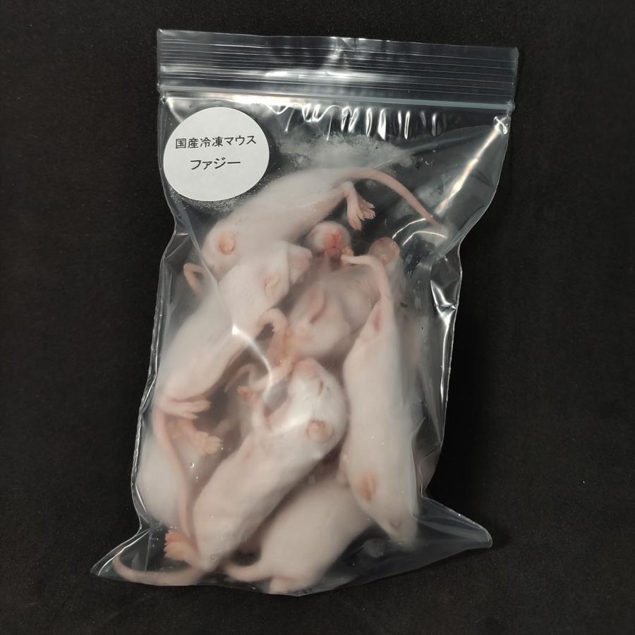 国産冷凍ファジーマウス 100匹入り : サイエンスファーム-Reptiles