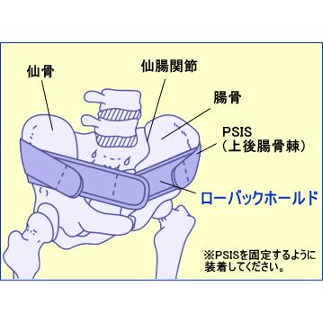 仙腸関節固定専用ベルト ローバックホールド : 科学新聞社ヤフー