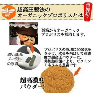 薬用歯磨き粉プロケアガード オーガニックプロポリス配合 口臭 歯周炎 歯肉炎 黄ばみ エスコス公式 Wc Scos Onlineshop 通販 Yahoo ショッピング
