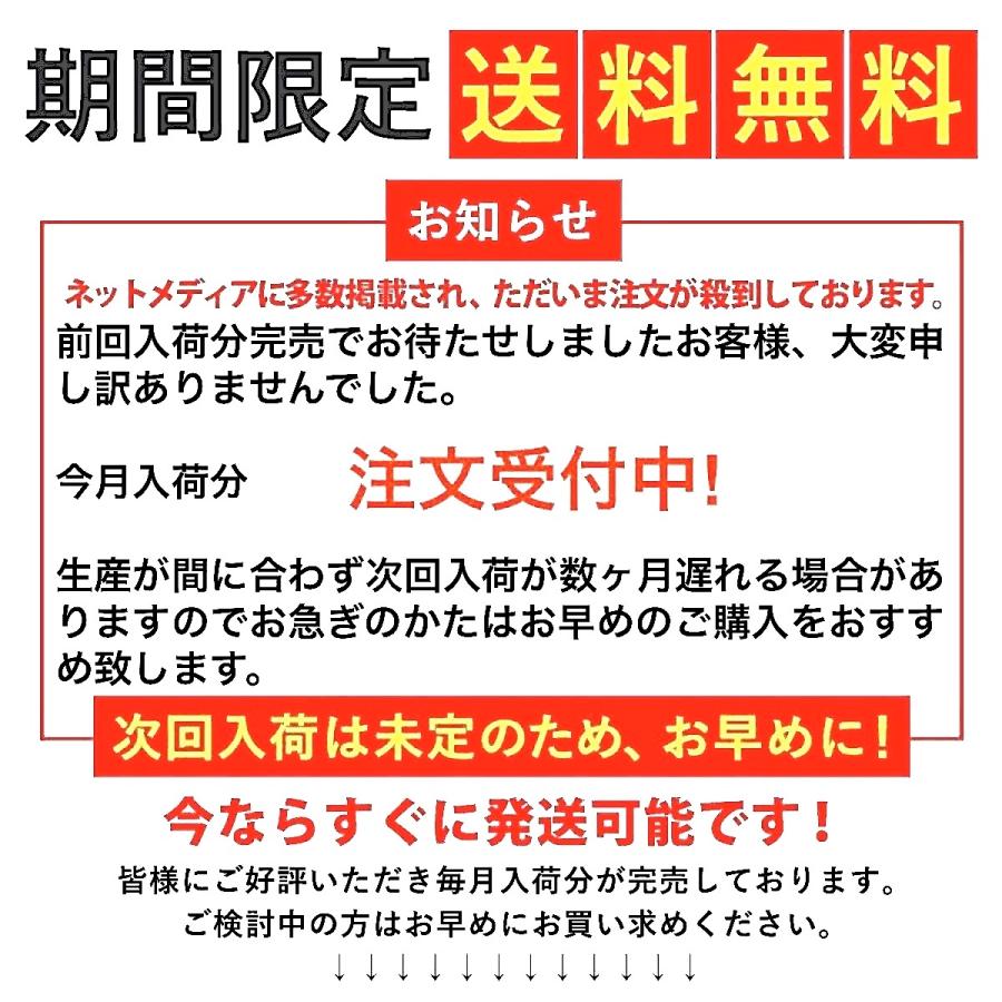 拡声器 小型 拡声器スピーカー ハンズフリー マイク メガホン 大音量