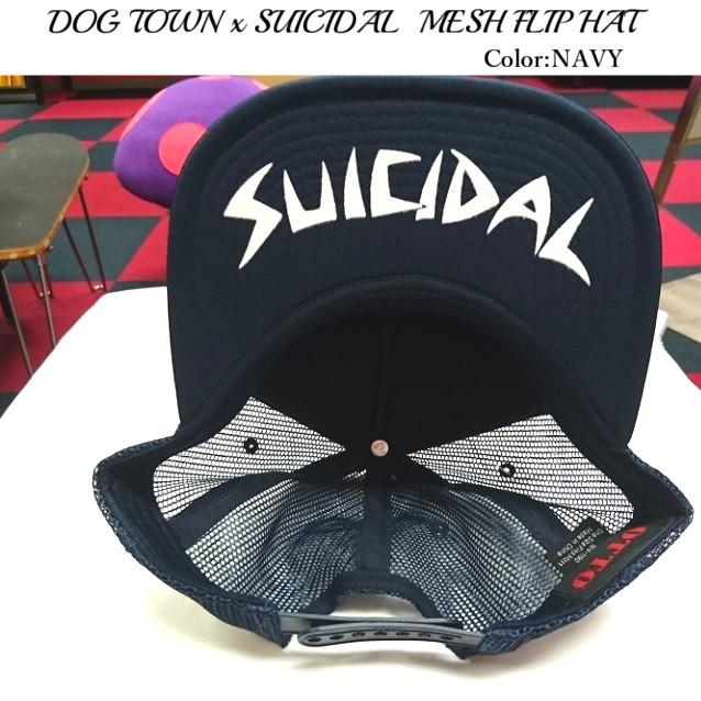 DOG TOWN ドッグタウン DTxSUICIDAL MESH FLIP HAT｜scrape｜02