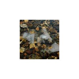 水面絶縁符-亥亜(がいあ)-【開運 開運グッズ 開運護符 良縁 願い 叶う お守り パワーストーン】４種類の輝石で作られた最強ストラップ(7,500円相当)を今回に限… |  | 03