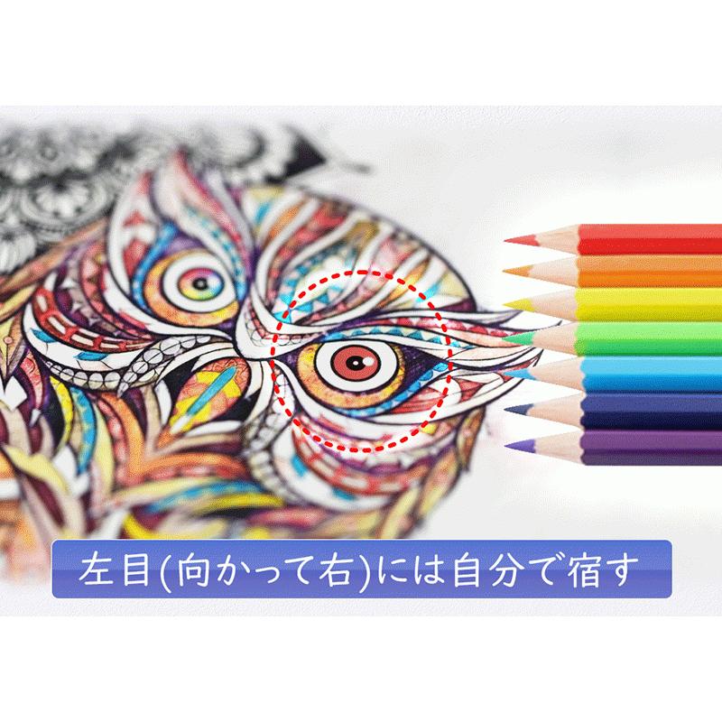 なないろフクロウ（額縁なし A4サイズ）梟 ふくろう 不苦労 福来朗 開運 アート 絵画 癒やし 金運 幸運 |  | 03