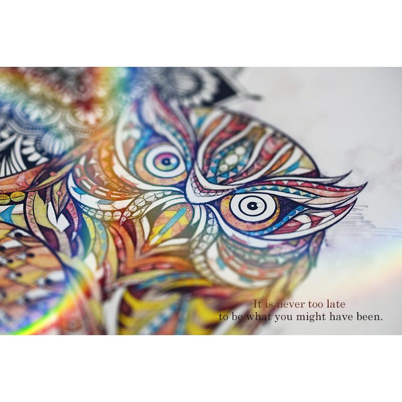 なないろフクロウ（額縁なし A4サイズ）梟 ふくろう 不苦労 福来朗 開運 アート 絵画 癒やし 金運 幸運 |  | 04