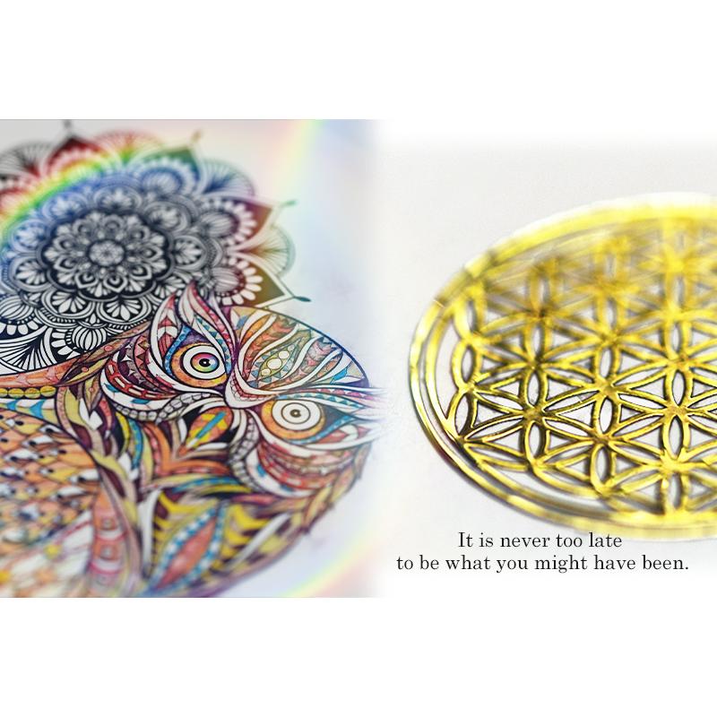 なないろフクロウ（額縁なし A4サイズ）梟 ふくろう 不苦労 福来朗 開運 アート 絵画 癒やし 金運 幸運 |  | 06