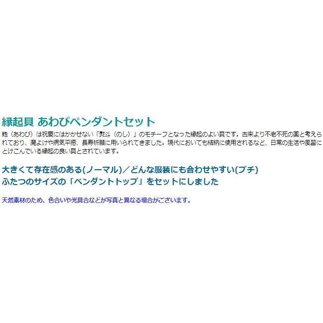 ティアドロップ あわびペンダントセット メンズ レディース 効果 ハンドメイド 浄化 種類 意味 アクセサリー 鮑貝 白蝶貝 2300pn 198 スクラッチ 通販 Yahoo ショッピング