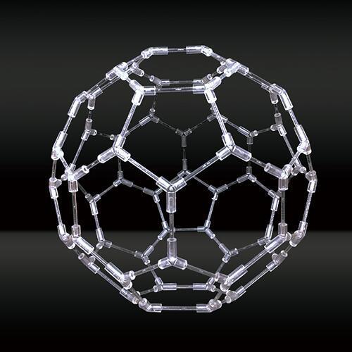 模型 バッキーボール（組立式）直径約25cm 医学博士 丸山修寛 丸山先生 監修 | 