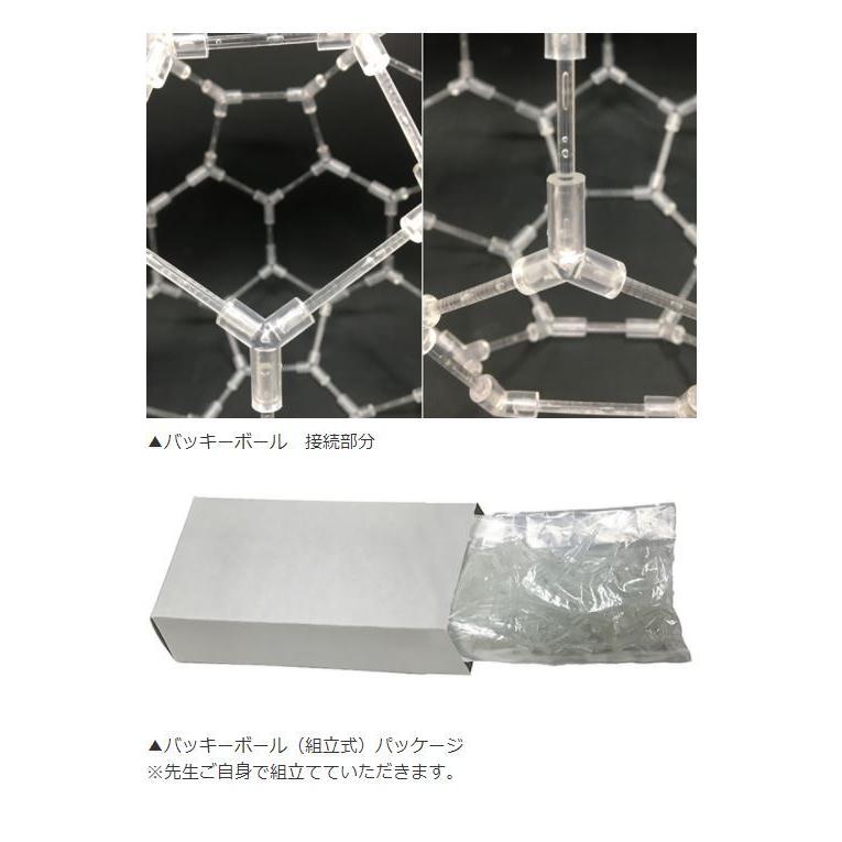 模型 バッキーボール（組立式）直径約25cm 医学博士 丸山修寛 丸山先生 監修 |  | 01