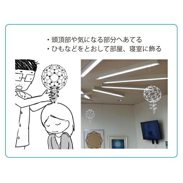模型 バッキーボール（組立式）直径約25cm 医学博士 丸山修寛 丸山先生 監修 |  | 05