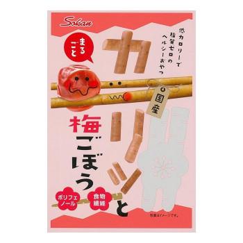 壮関 カリッと梅ごぼう 22g 1袋 スイーツ お菓子 低カロリーで脂質ゼロのヘルシーなおやつ 5 スクラッチ 通販 Yahoo ショッピング