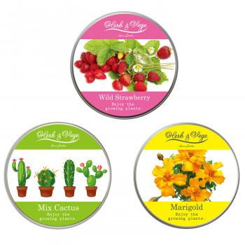 ナガクラ ハーブ ベジ ミニ ワイルドストロベリー サボテン マリーゴールド 3種セット ガーデニング 花 植物 ｄｉｙ ノベルティにもおすすめのサイ 5 スクラッチ 通販 Yahoo ショッピング