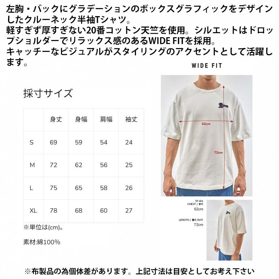 RVCA（ルーカ） 正規品 メンズ 半袖 Tシャツ BG041-208 SCREEN FADE