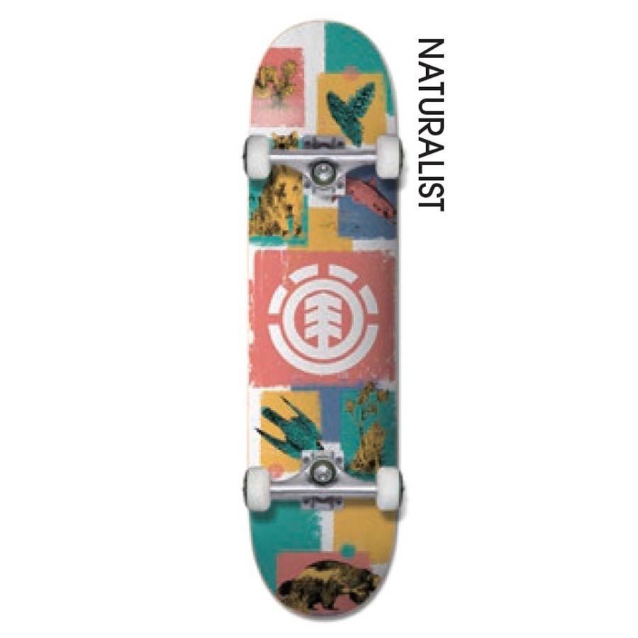 ELEMENT（エレメント） 正規品 スケートボード コンプリート 完成品