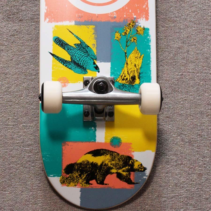 ELEMENT（エレメント） 正規品 スケートボード コンプリート 完成品