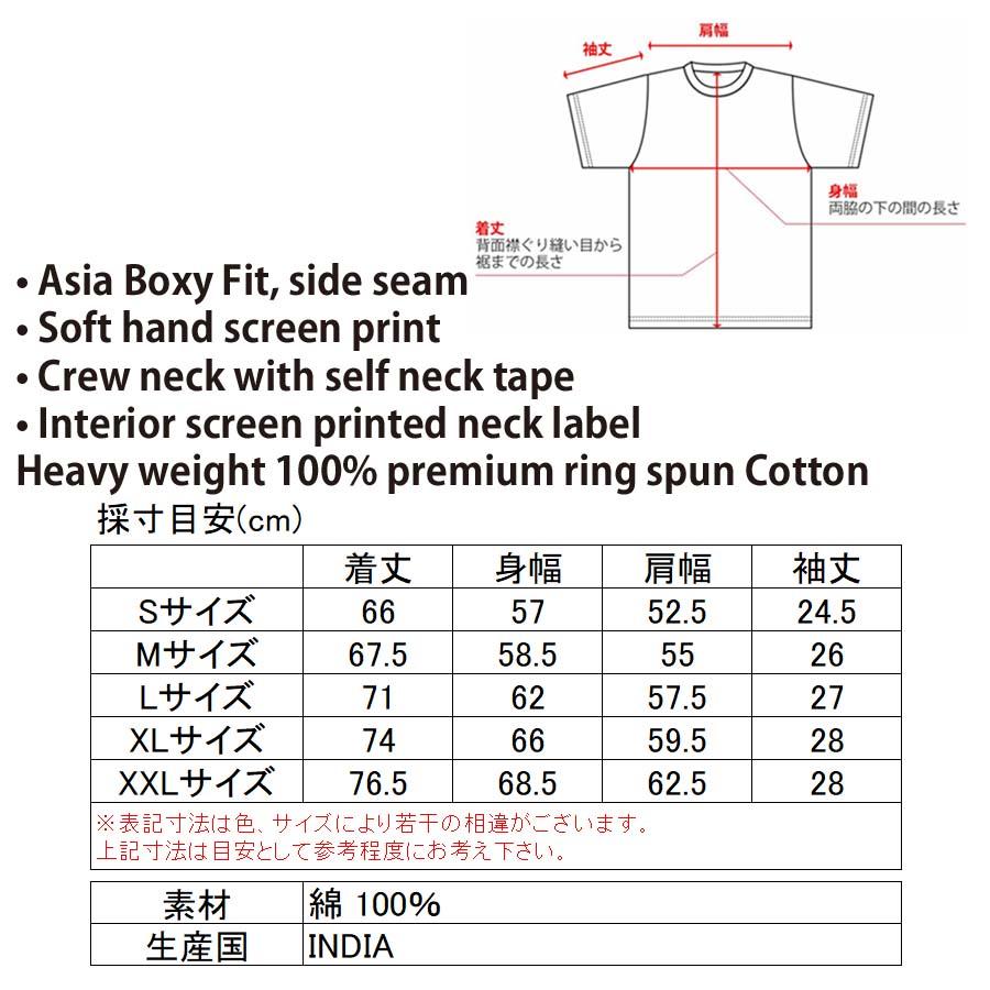 正規品 VOLCOM ボルコム 半袖 Ｔシャツ AF312302 BOXY BLANK SST 半袖Tシャツ 2023 人気 メンズ ヴォルコム おしゃれ サーフ スケートボード スケボー｜screamer｜09