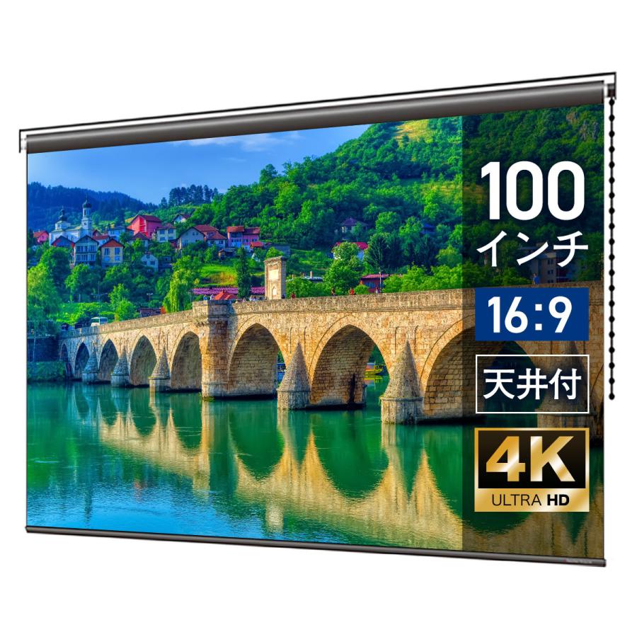 シアターハウス プロジェクタースクリーン チェーンスクリーン (16：9)ワイド 100インチ マスクフリー 日本製 BCH2220FEH :  スクリーン専門店シアターハウス - 通販 - Yahoo!ショッピング