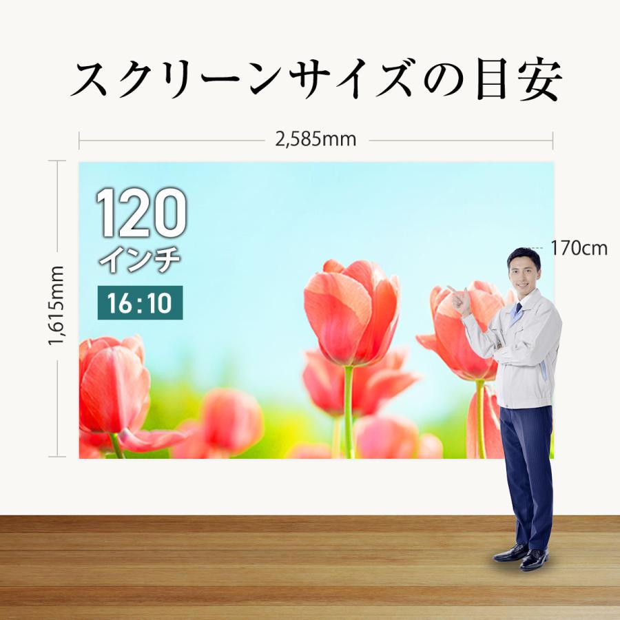 シアターハウス プロジェクタースクリーン チェーンスクリーン (16：10)WXGA 120インチ マスクフリー 日本製 BCH2585FEHの画像