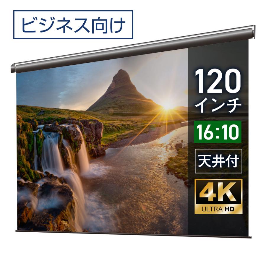 シアターハウス プロジェクタースクリーン 電動スクリーン ケースなし