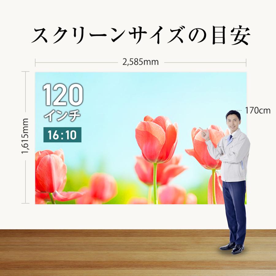 シアターハウス プロジェクタースクリーン 電動スクリーン ケースなし