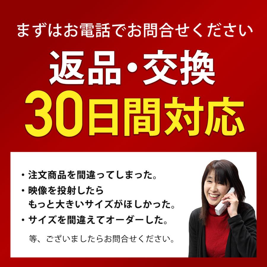 「送料無料・年末感謝」 シアターハウス プロジェクタースクリーン 電動スクリーン ケースなし 120インチ（16：9) マスクフリー ロングタイプ 日本製 BDR2660FEH-H2300 【TMF1936745268】(69921円)