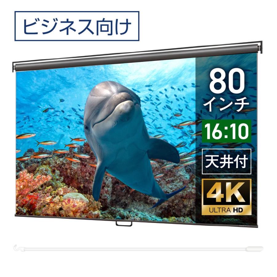 シアターハウス プロジェクタースクリーン スプリングスクリーン 
