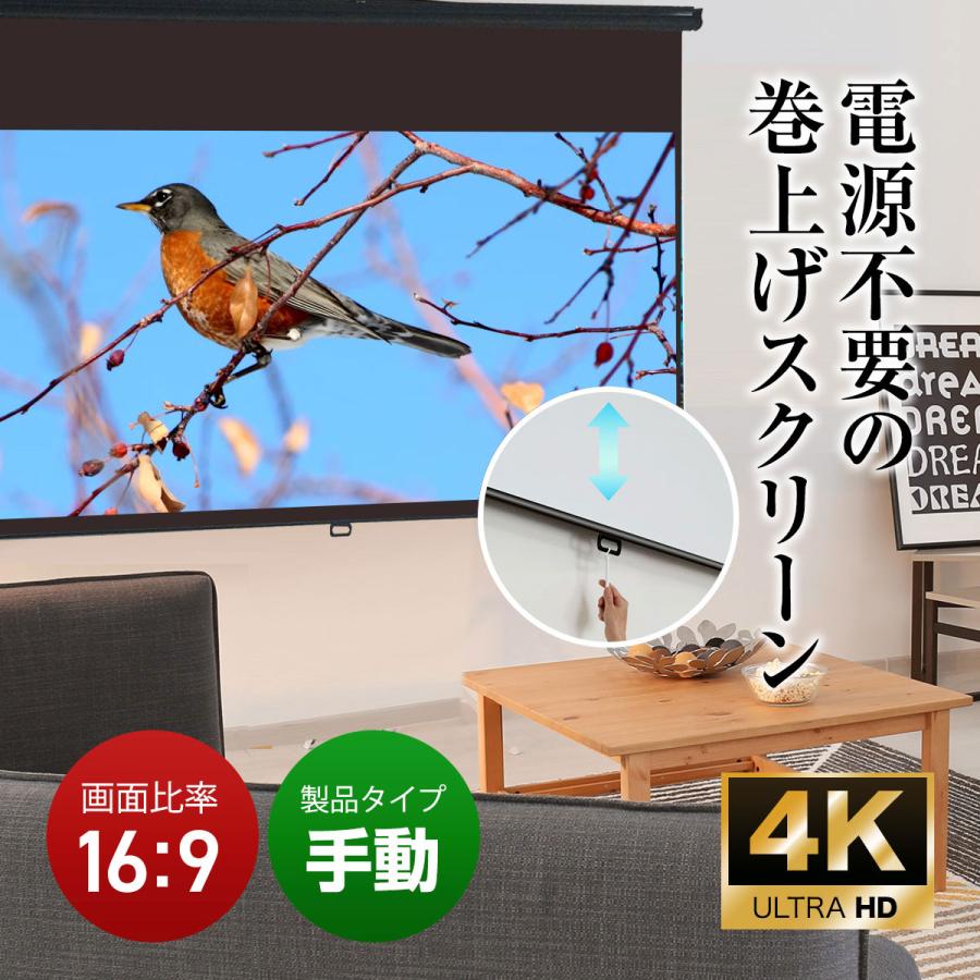 シアターハウス プロジェクタースクリーン スプリングスクリーン (16