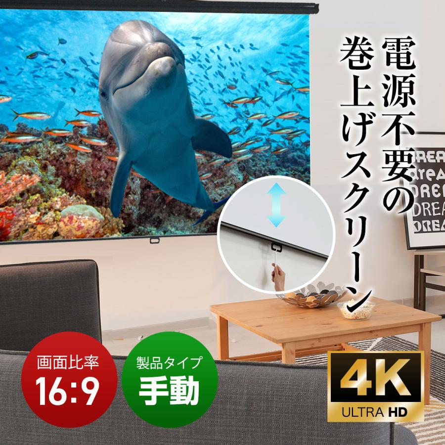 シアターハウス プロジェクタースクリーン スプリングスクリーン ケースなし (16：9) WIDE 120インチ マスクフリー 日本製 BSP2660FEHの画像