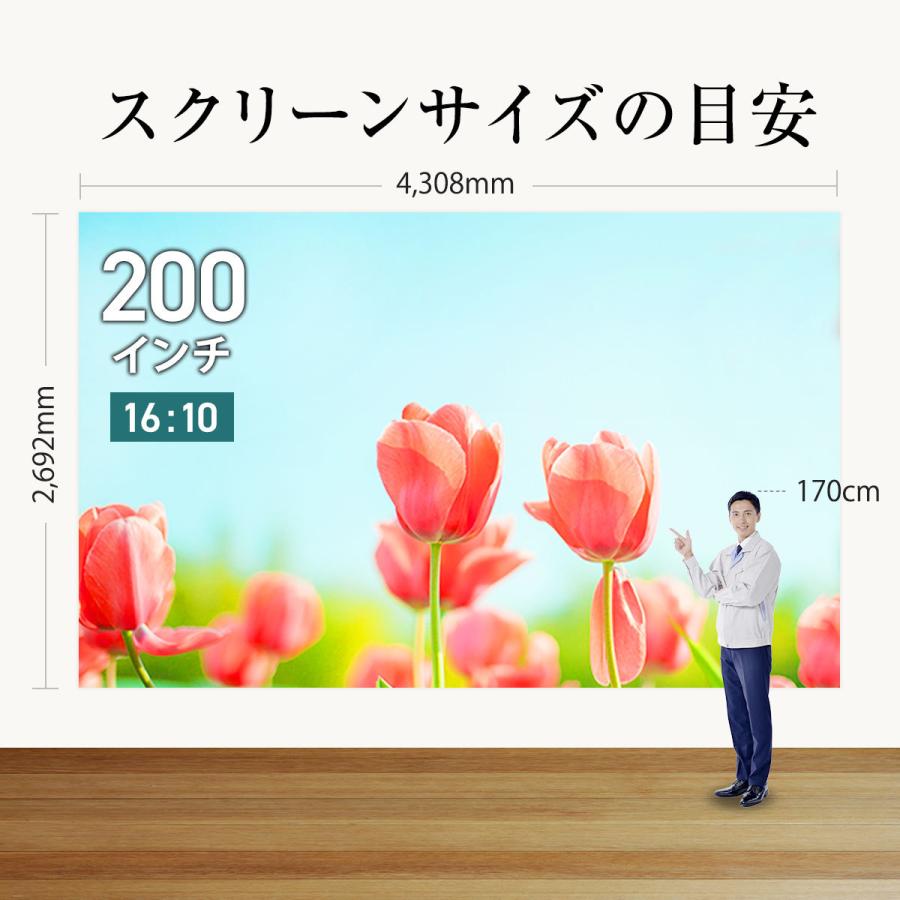 シアターハウス 4K対応 プロジェクタースクリーン 200インチ (16 シアターハウス 4K対応 プロジェクタースクリーン 200インチ (16