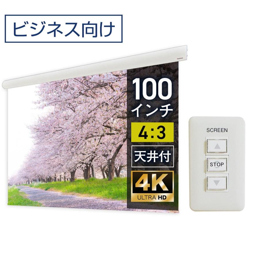 シアターハウス プロジェクタースクリーン 壁スイッチ ケース付き大型 