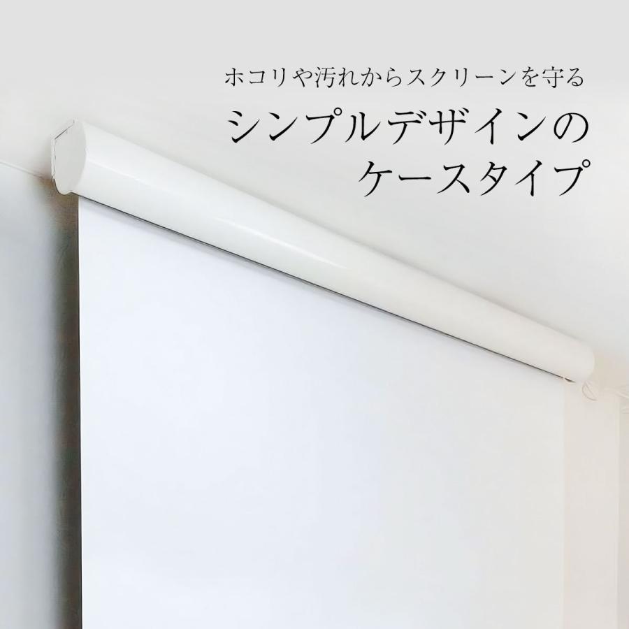 シアターハウス プロジェクタースクリーン 壁スイッチ ケース付き大型