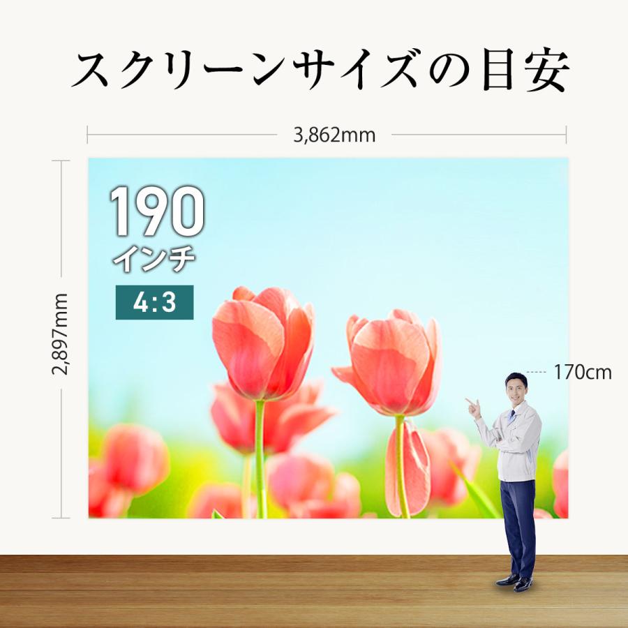 シアターハウス プロジェクタースクリーン 壁スイッチ ケース付き大型電動スクリーン (4：3)スタンダード 190インチ マスクフリー 日本製 WCK3862FEH-H4000_7
