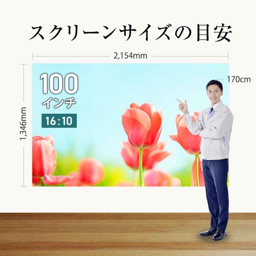 シアターハウス プロジェクタースクリーン スプリングスクリーン