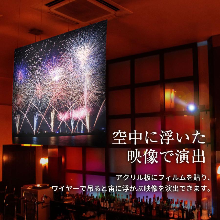 シアターハウス プロジェクタースクリーン リアプロジェクション(背面