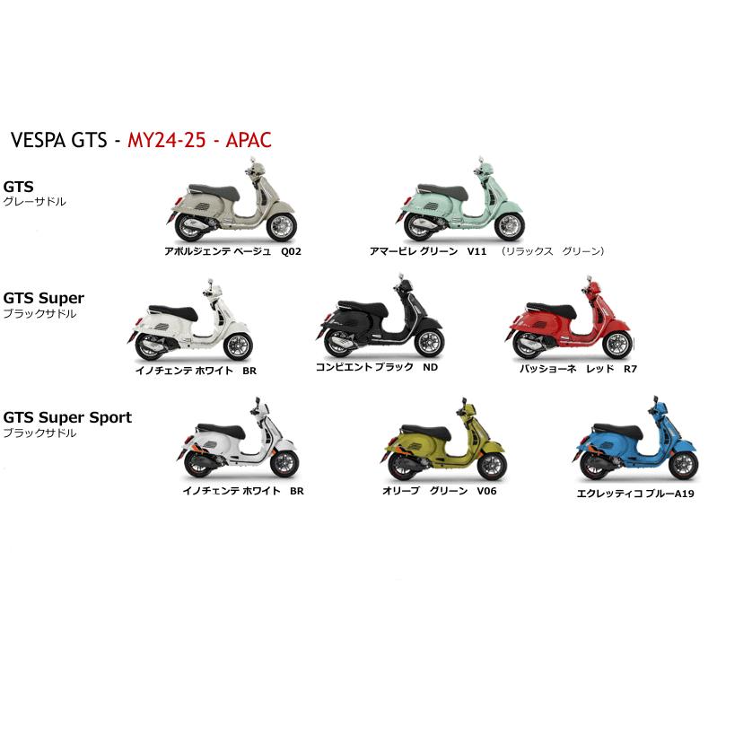 ベスパ Vespa GTS GTV用 MY24-25トップボックス : SCSウェブストア