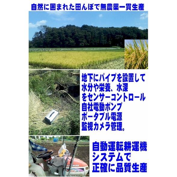 2段弁当箱炊飯器 テレビ番組 多機能 炊飯できる弁当箱 炊飯器 おすすめ 人気 おひとりさま用 超高速弁当箱炊飯器 おかず 新生活｜scs｜07