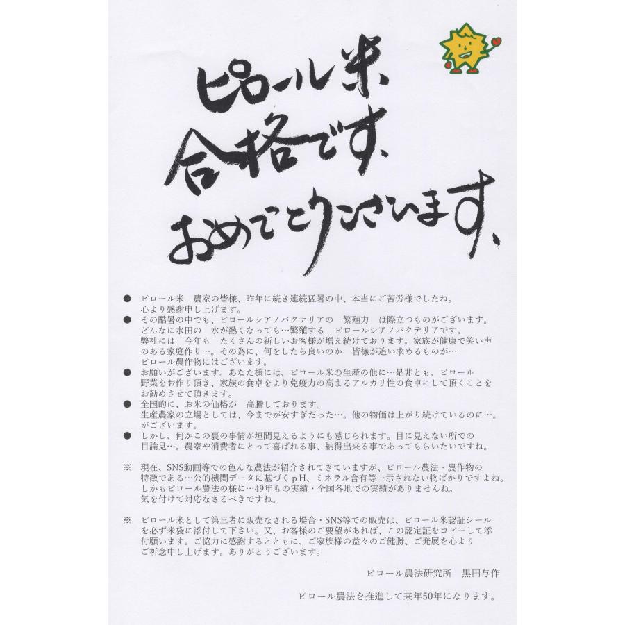 新米 令和6年度産 彩のきずな 10kg 5kgx2袋 ピロール米 直販 新米 令和6年度産 彩のきずな 10kg 5kgx2袋 ピロール米 直販