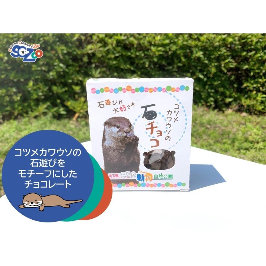 コツメカワウソの石チョコ 00 埼玉県こども動物自然公園 通販 Yahoo ショッピング