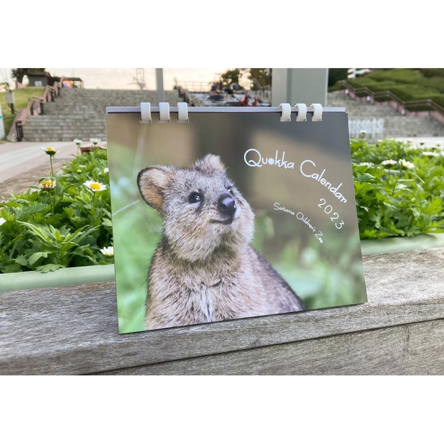 こども動物自然公園 カレンダー 23 クオッカ 卓上 ゆうパケット対応 Quakkacalendar23 埼玉県こども動物自然公園 通販 Yahoo ショッピング