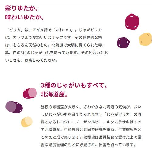 カルビー（Calbee） じゃがピリカ オホーツクの塩味（18g×10袋）12箱