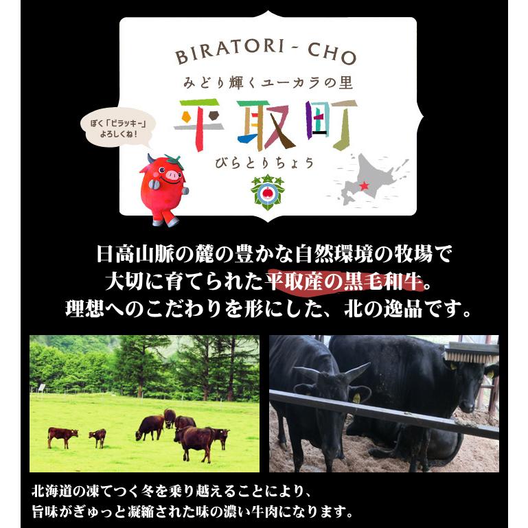 JAびらとり びらとり和牛のカレー 辛口 200g 25個セット 北海道 びらとり和牛カレー 辛口 200g 1食 平取 ビーフカリー 惣菜 ご
